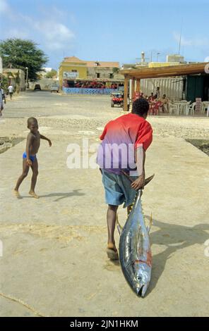 Pescatore locale con la sua cattura, un grande pesce di tonno, SAL Rei, Boavista, Isole Capo Verde, Africa Foto Stock