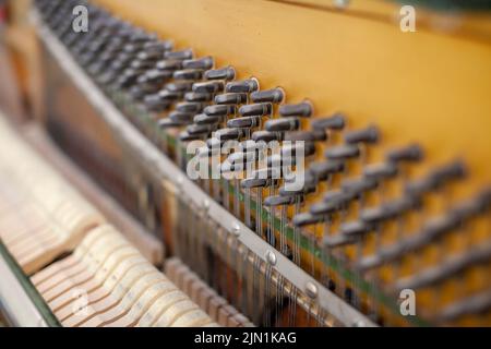 L'interno del pianoforte è privo di coperchio. Corde, martelli e altre parti di uno strumento musicale sono visibili. Messa a punto e riparazione di uno strum musicale Foto Stock