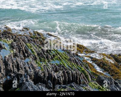 Schiuma sulle onde del mare e rocce costiere. Alghe marine su rocce, paesaggio. Muschio verde sulla roccia vicino al corpo d'acqua Foto Stock