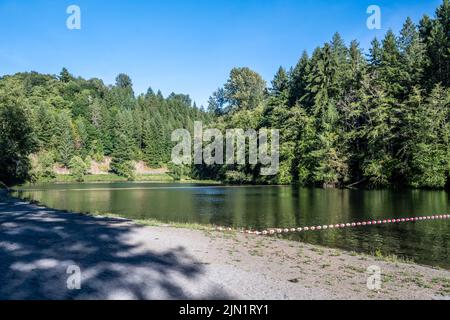 Una vista panoramica della natura a Ike Kinswa SP, Washington Foto Stock