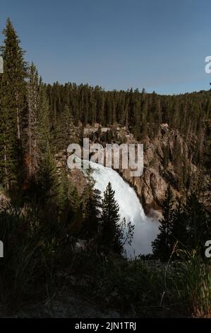 Upper Falls nel Parco Nazionale di Yellowstone Foto Stock