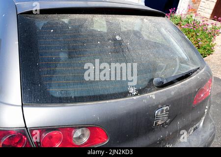 Portland. 8th agosto 2022. Meteo Regno Unito. Le auto vengono rapidamente coperte di polvere di cava sull'isola di Portland, in assenza di pioggia per lavarla. Se si trattasse di un'auto rubata o abbandonata, la polizia avrebbe un sacco di impronte digitali per andare avanti! Credit stuart fretwell/Alamy Live News Foto Stock