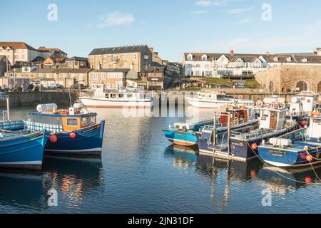 Barche ormeggiate nel porto di North Sunderland, Seahouses, Northumberland, Inghilterra, Regno Unito Foto Stock