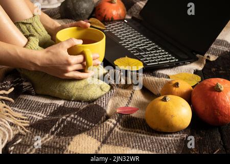 la ragazza si siede con una tazza di tè e ha guidato un computer portatile sul pavimento della casa circondato da foglie e zucche autunnali, freelancer a casa, umore autunnale Foto Stock