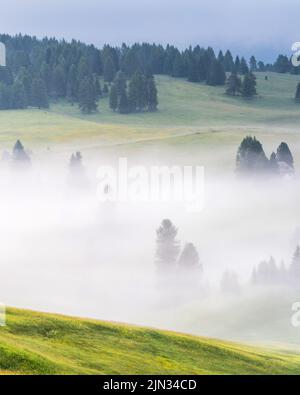 Paesaggio verde etereo con vista su capanne e alberi su dolci colline e montagne nascoste nella nebbia all'alba dell'Alp De Suisi, Dolomiti, Italia Foto Stock