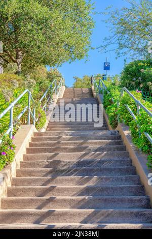 Scala esterna diritta con gradini in cemento e corrimano in metallo a San Francisco, California. Scale con piante fiorite e alberi vicino ai mancorrenti e. Foto Stock