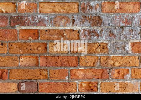 Muro di mattoni fatto a mano molto vecchio con alcuni depositi di lime. I concetti potrebbero includere sfondi, architettura, muratura, artigianato, altro. Foto Stock