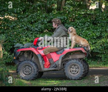 gamekeeper e il suo cocker spaniel su quad Foto Stock