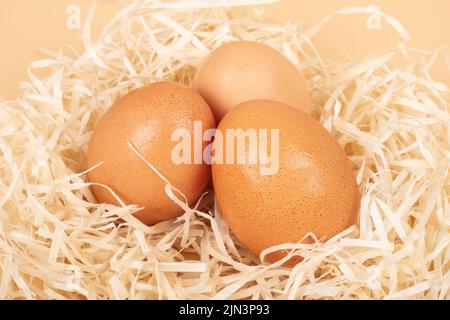 uova di pollo nel nido isolato banner primo piano. Foto Stock