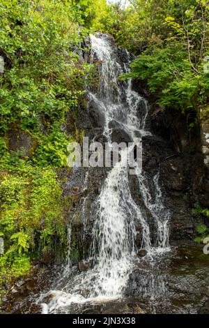 Cascata nei giardini del castello di Dunvegan, Isola di Skye, Scozia Foto Stock