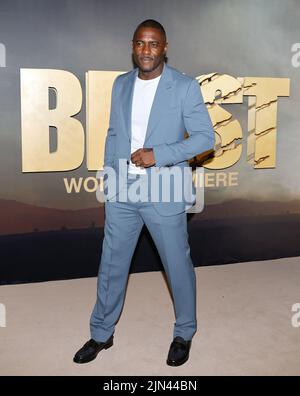 New York, Stati Uniti. 08th ago 2022. Idris Elba arriva sul tappeto rosso per la prima Mondiale della Bestia al Museo d'Arte moderna di New York, lunedì 08 agosto 2022. Foto di Jason Szenes/UPI Credit: UPI/Alamy Live News Foto Stock