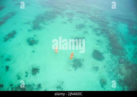 L'oceano ha chiamato, abbiamo risposto. Scatto ad angolo alto di due avventurose coppie giovani in canoa insieme negli splendidi oceani dell'Indonesia. Foto Stock