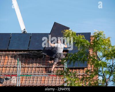 Sint Gillis WAAS, Belgio, 08 agosto 2022, Roofer con cappuccio e pantaloncini rimuove un pannello solare con entrambe le mani Foto Stock
