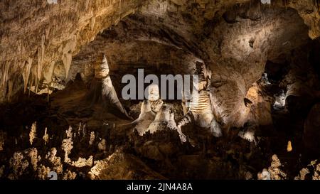 Hall of Giants in Big Room, Carlsbad Caverns National Park, New Mexico, USA Foto Stock