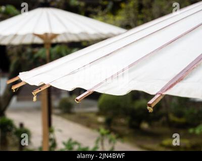 Due ombrelli di carta giapponesi tradizionali bianchi Foto Stock