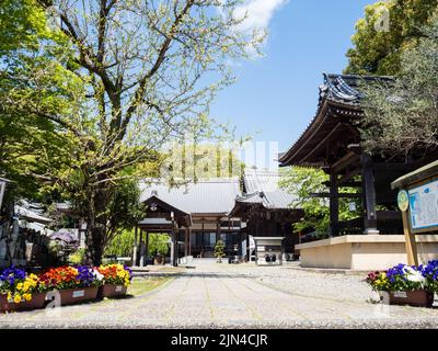 Kochi, Giappone - 7 aprile 2018: Primavera a Sekkeiji, tempio numero 33 del pellegrinaggio di Shikoku Foto Stock