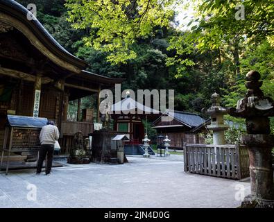 Tosa, Prefettura di Kochi, Giappone - 7 aprile 2018: Sul terreno di Shoryuji, tempio numero 36 di pellegrinaggio Shikoku Foto Stock