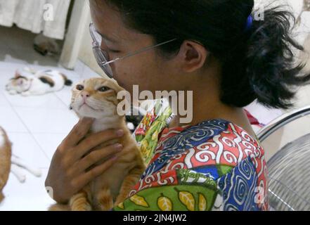 Pondok Kopi, Jakarta, Indonesia. 8th ago, 2022. La donna vive fianco a fianco con più di 20 gatti randagi a casa sua a Giacarta il 9 agosto 2022. La maggior parte dei gatti randagi che sono stati salvati erano malati, quindi sono stati presi e curati da pulizia. Gatti e trattamento regolare in modo che i gatti possono vivere normalmente di nuovo. Attualmente, molte persone fanno i gatti come amici perché i volti dei gatti sono di interesse per gli esseri umani, come la salute, la bellezza e lo sviluppo dei gatti, non solo i gatti purredi, ma anche i gatti ferali sono trattati anche perché i gatti randagi hanno un sistema immunitario adattivo. condizione e non facile da ammalarsi. Foto Stock