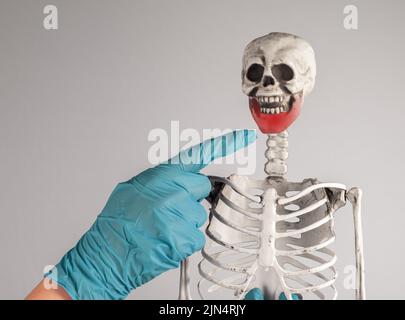 Indice medico che punta allo scheletro della mandibola inferiore con punto rosso. Lesioni alla bocca, infezione. Anatomia del sistema scheletrico, struttura del corpo, educazione medica co Foto Stock