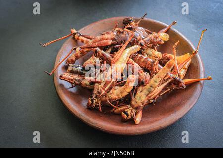 la cavalletta fritta o il goreng di belalang è il cibo tradizionale del sud-est asiatico, servito con sambal, cipolla, aglio, peperoncino su sfondo di legno Foto Stock