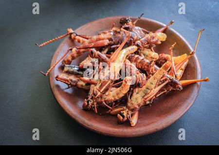 la cavalletta fritta o il goreng di belalang è il cibo tradizionale del sud-est asiatico, servito con sambal, cipolla, aglio, peperoncino su sfondo di legno Foto Stock