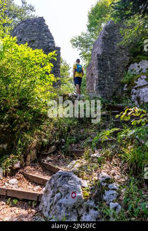 Le rovine del castello di Frigrihstein sopra Kocevje, nella Slovenia meridionale, sono una meta molto apprezzata per le escursioni a piedi. Foto Stock