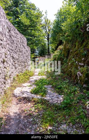 Le rovine del castello di Frigrihstein sopra Kocevje, nella Slovenia meridionale, sono una meta molto apprezzata per le escursioni a piedi. Foto Stock