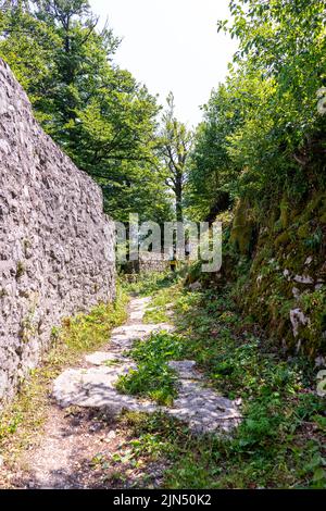 Le rovine del castello di Frigrihstein sopra Kocevje, nella Slovenia meridionale, sono una meta molto apprezzata per le escursioni a piedi. Foto Stock