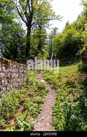 Le rovine del castello di Frigrihstein sopra Kocevje, nella Slovenia meridionale, sono una meta molto apprezzata per le escursioni a piedi. Foto Stock