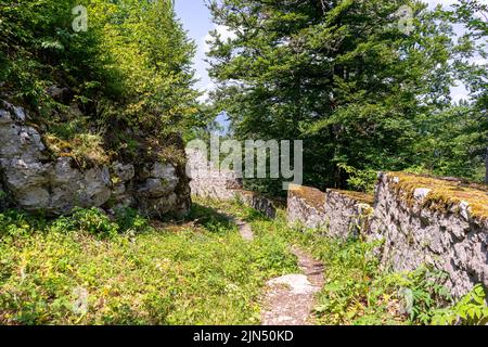 Le rovine del castello di Frigrihstein sopra Kocevje, nella Slovenia meridionale, sono una meta molto apprezzata per le escursioni a piedi. Foto Stock