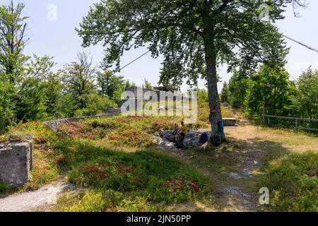 Le rovine del castello di Frigrihstein sopra Kocevje, nella Slovenia meridionale, sono una meta molto apprezzata per le escursioni a piedi. Foto Stock