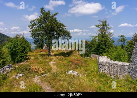 Le rovine del castello di Frigrihstein sopra Kocevje, nella Slovenia meridionale, sono una meta molto apprezzata per le escursioni a piedi. Foto Stock