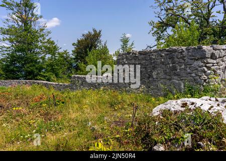 Le rovine del castello di Frigrihstein sopra Kocevje, nella Slovenia meridionale, sono una meta molto apprezzata per le escursioni a piedi. Foto Stock