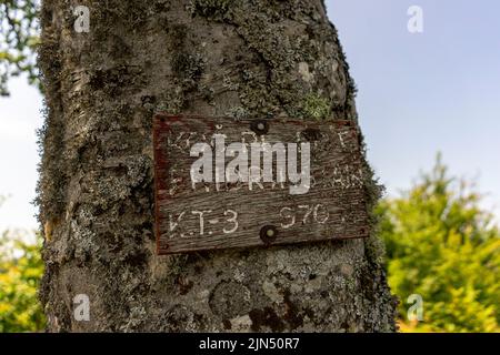 Le rovine del castello di Frigrihstein sopra Kocevje, nella Slovenia meridionale, sono una meta molto apprezzata per le escursioni a piedi. Foto Stock