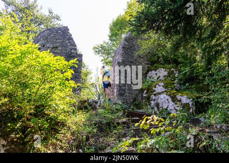 Le rovine del castello di Frigrihstein sopra Kocevje, nella Slovenia meridionale, sono una meta molto apprezzata per le escursioni a piedi. Foto Stock