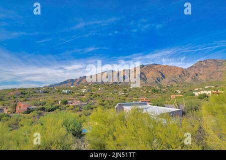 Case suburbane vicino alla catena montuosa di Tucson, Arizona. Area suburbana con un sacco di alberi e poche case in un alto angolo di vista contro la montagna r Foto Stock