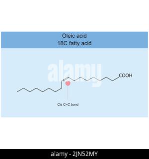 Struttura chimica dell'acido oleico (acido grasso al carbonio 18) su sfondo blu - doppio legame cis al carbonio evidenziato. Illustrazione Vettoriale