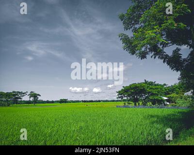 30-jul-2020 Barishal, Bangladesh. Vista sul villaggio. Foto Stock