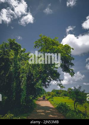 30-jul-2020 Barishal, Bangladesh. Vista sul villaggio. Foto Stock