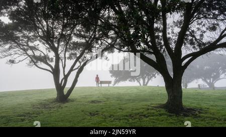 Donna in piedi da una panchina nella nebbia tra gli alberi di Pohutukawa. Milford Beach, Auckland. Foto Stock