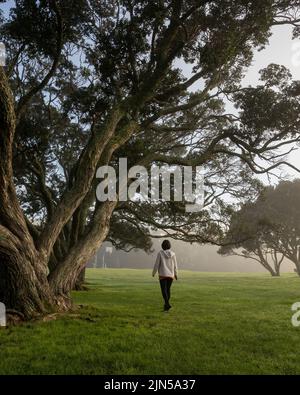 Donna che cammina nella nebbia tra gli alberi di Pohutukawa. Auckland. Formato verticale. Foto Stock