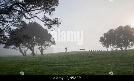 Donna che corre nella nebbia tra gli alberi di Pohutukawa. Milford Beach Reserve, Auckland. Foto Stock