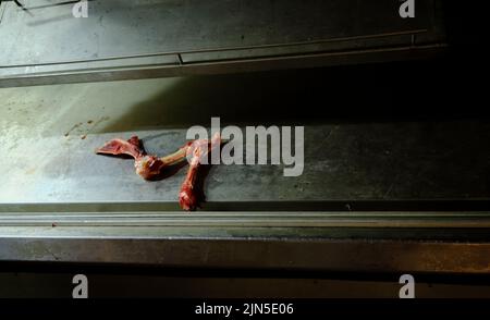 Osso di agnello lasciato sulla mensola all'interno del mercato municipale centrale di Atene a Psyri Foto Stock