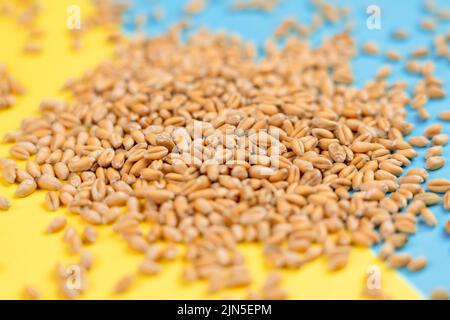 Grani di grano sulla bandiera blu gialla Ucraina. Il concetto di scorte di colture pericolose dall'Ucraina a causa della guerra. Il pericolo della carestia e dell'espulsore Foto Stock
