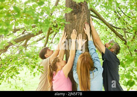 Gruppo di persone che toccano il tronco dell'albero con le mani nel bagno della foresta come rilassamento Foto Stock