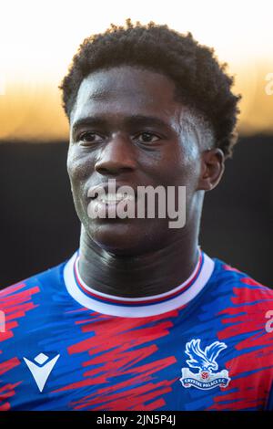 LONDRA, INGHILTERRA - AGOSTO 08: Malcolm Ebiowei di Crystal Palace durante la partita della Premier League 2 Divisione 1 tra Crystal Palace U21 e Brighton & Hove Albion F.C. U21 a Selhurst Park il 8 agosto 2022 a Londra, Regno Unito. (Foto di Sebastian Frej) Credit: Sebo47/Alamy Live News Foto Stock