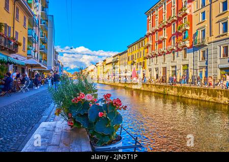 I fiori nei vasi sulla riva del Naviglio Grande Canal, uno dei luoghi più affollati di Milano in serata, Italia Foto Stock