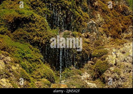 Corsi d'acqua in muschio di cascata Maiden Tears, Dniester Canyon, Monastirok, Ucraina Foto Stock