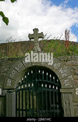 St Colmcille’s Well, Inistioge, County Kilkenny, Irlanda. Foto Stock