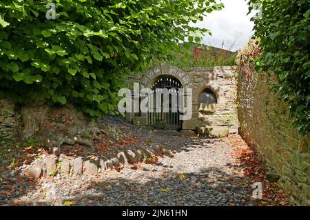 St Colmcille’s Well, Inistioge, County Kilkenny, Irlanda. Foto Stock